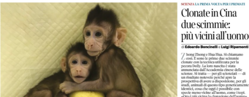 Clonate in Cina due scimmie: più vicini all’uomo