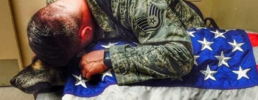 L’esercito piange il suo cane soldato
