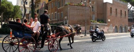 Roma, botticelle via dalle strade solo nei parchi: ecco il nuovo regolamento