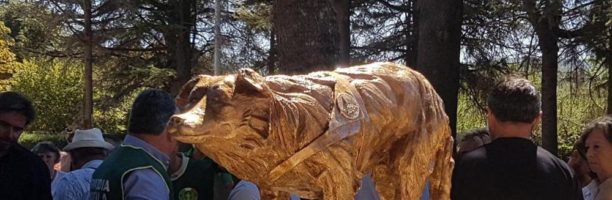 Terremoto ad Amatrice, un monumento per ricordare il cane da soccorso Camilla