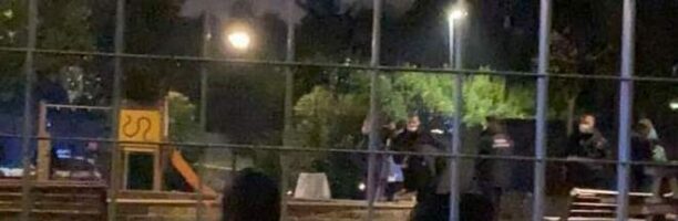 Roma, la polizia spara a una femmina di cinghiale e ai suoi sei cuccioli rinchiusi in un parco giochi. Gli animalisti: “Smaltiti come spazzatura”