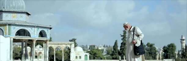 Gerusalemme, muore di Covid il custode dei gatti della Moschea di al-Aqsa