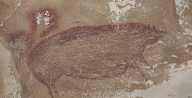 La più antica arte figurativa, 45 mila anni fa. Nascosta in una grotta indonesiana