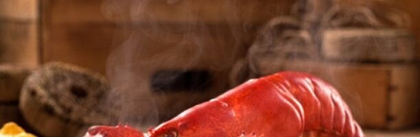 Parma ha un nuovo regolamento sul benessere animale: vietato cucinare i crostacei vivi