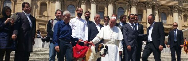 Vaticano: cani e gatti vietati, ENPA scrive a Papa Francesco