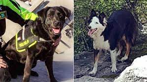 Vanno in pensione i due cani-‘pompiere’ Dana e Kira