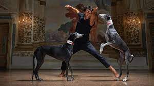Kledi Kadiu balla con i cani Galgos spagnoli per salvarli: “Sono anime magiche, ho sentito il loro dolore”