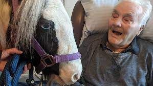Per il suo 96° compleanno un anziano affetto da demenza riceve la visita di un cavallo e il suo viso si illumina di felicità
