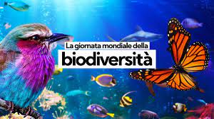 Giornata mondiale della biodiversità: perché è il 22 maggio?