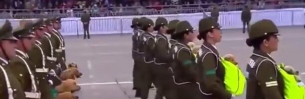 Poliziotte sfilano alla parata militare senza armi ma con piccoli cuccioli di Golden Retriever