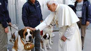 Joseph Ratzinger, non solo gatti: gli altri animali, gli allevamenti intensivi e il Paradiso negato
