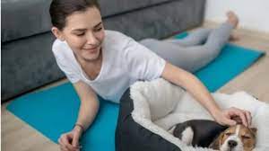 Lo straziante appello del veterinario ai padroni che mettono i loro cani a “dormire”