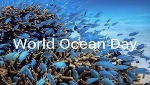 Giornata mondiale degli Oceani 2023, WWF: 2/3 del mare aperto sotto assedio