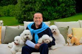 Silvio Berlusconi è morto, Dudù e quella passione del Cavaliere per i cani