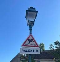 Rallentare,”gatti in movimento”: spuntano i cartelli stradali per tutelare i mici in questa adorabile cittadina francese