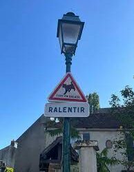 Rallentare,”gatti in movimento”: spuntano i cartelli stradali per tutelare i mici in questa adorabile cittadina francese