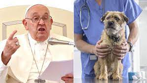 Papa Francesco: “Più veterinari che pediatri, non è un bel segnale”. La replica: “Cani e gatti curano la solitudine”