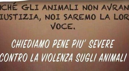 Manifestazione nazionale per i diritti degli animali. Roma 25 febbraio 2024. “Leone chiama, Roma risponde”